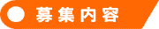 募集内容