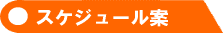 スケジュール（案）